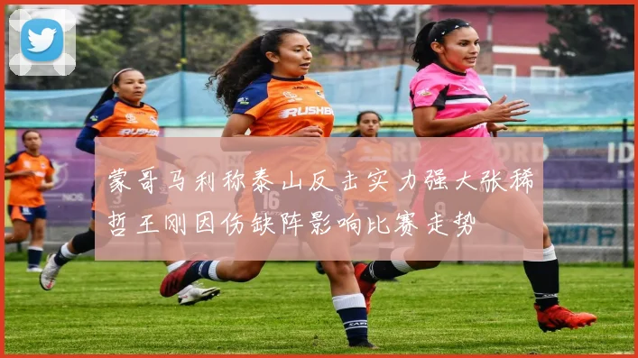 蒙哥马利称泰山反击实力强大张稀哲王刚因伤缺阵影响比赛走势