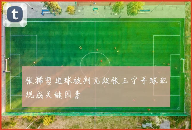 张稀哲进球被判无效张玉宁手球犯规成关键因素
