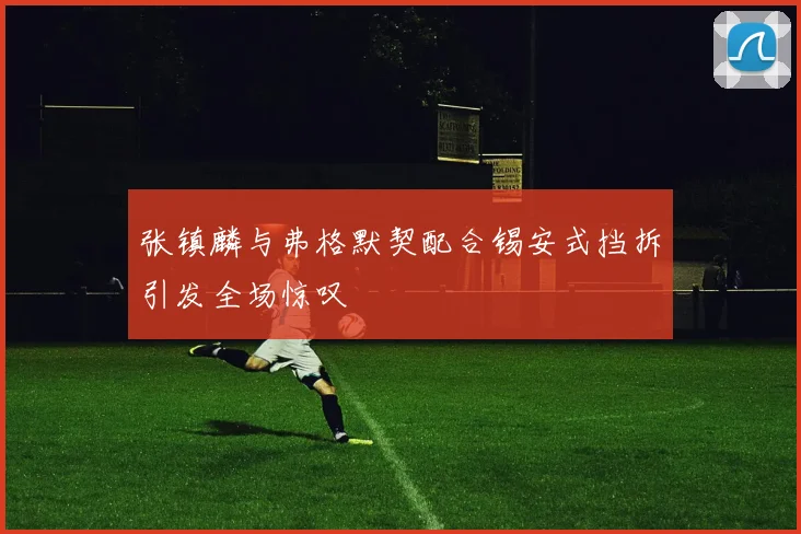 张镇麟与弗格默契配合锡安式挡拆引发全场惊叹