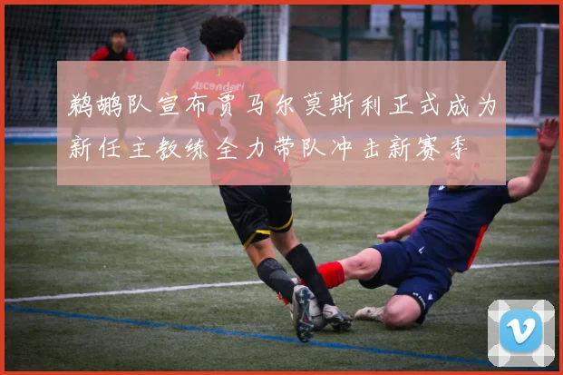 鹈鹕队宣布贾马尔莫斯利正式成为新任主教练全力带队冲击新赛季
